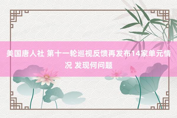 美国唐人社 第十一轮巡视反馈再发布14家单元情况 发现何问题