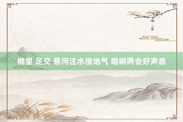 楠里 足交 悬河注水接地气 唱响两会好声息