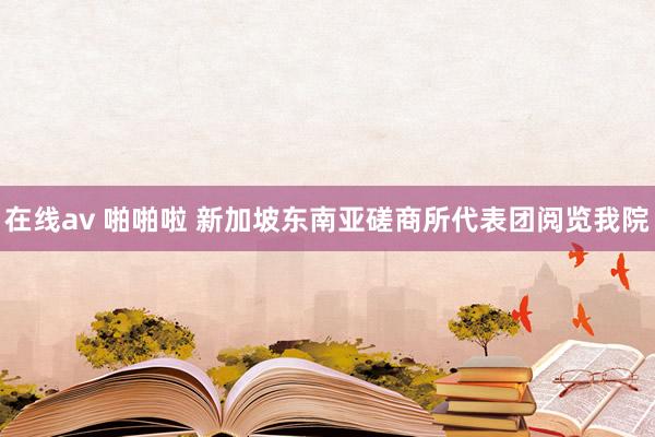在线av 啪啪啦 新加坡东南亚磋商所代表团阅览我院