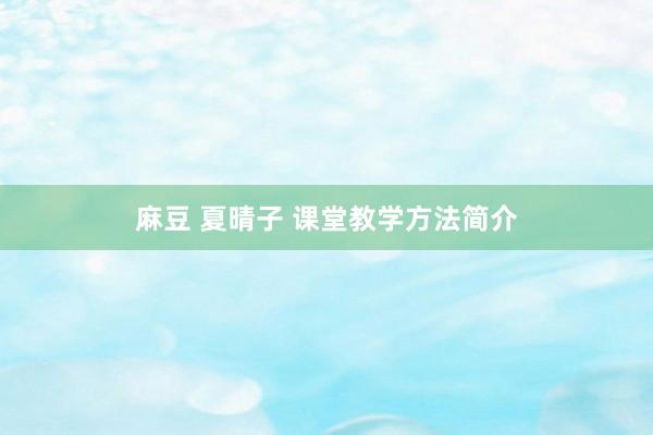 麻豆 夏晴子 课堂教学方法简介