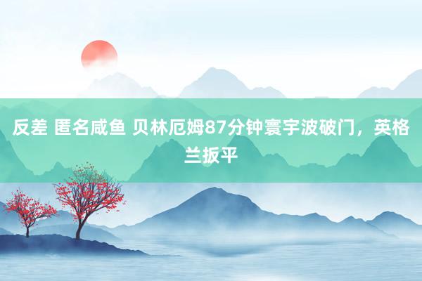 反差 匿名咸鱼 贝林厄姆87分钟寰宇波破门，英格兰扳平