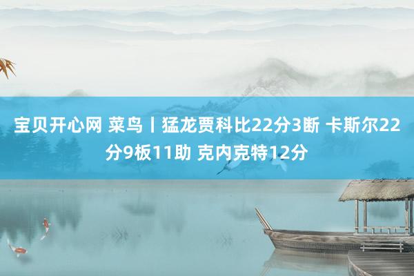 宝贝开心网 菜鸟丨猛龙贾科比22分3断 卡斯尔22分9板11助 克内克特12分